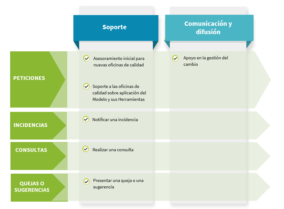 Líneas de trabajo de la Oficina