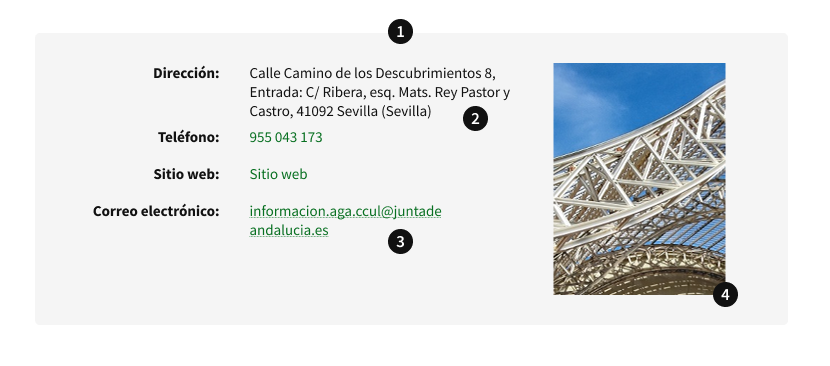 Anatomía del componente Ficha