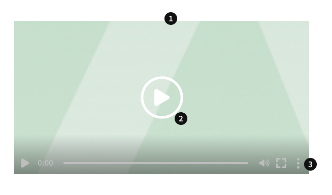 Anatomía del componente Vídeo